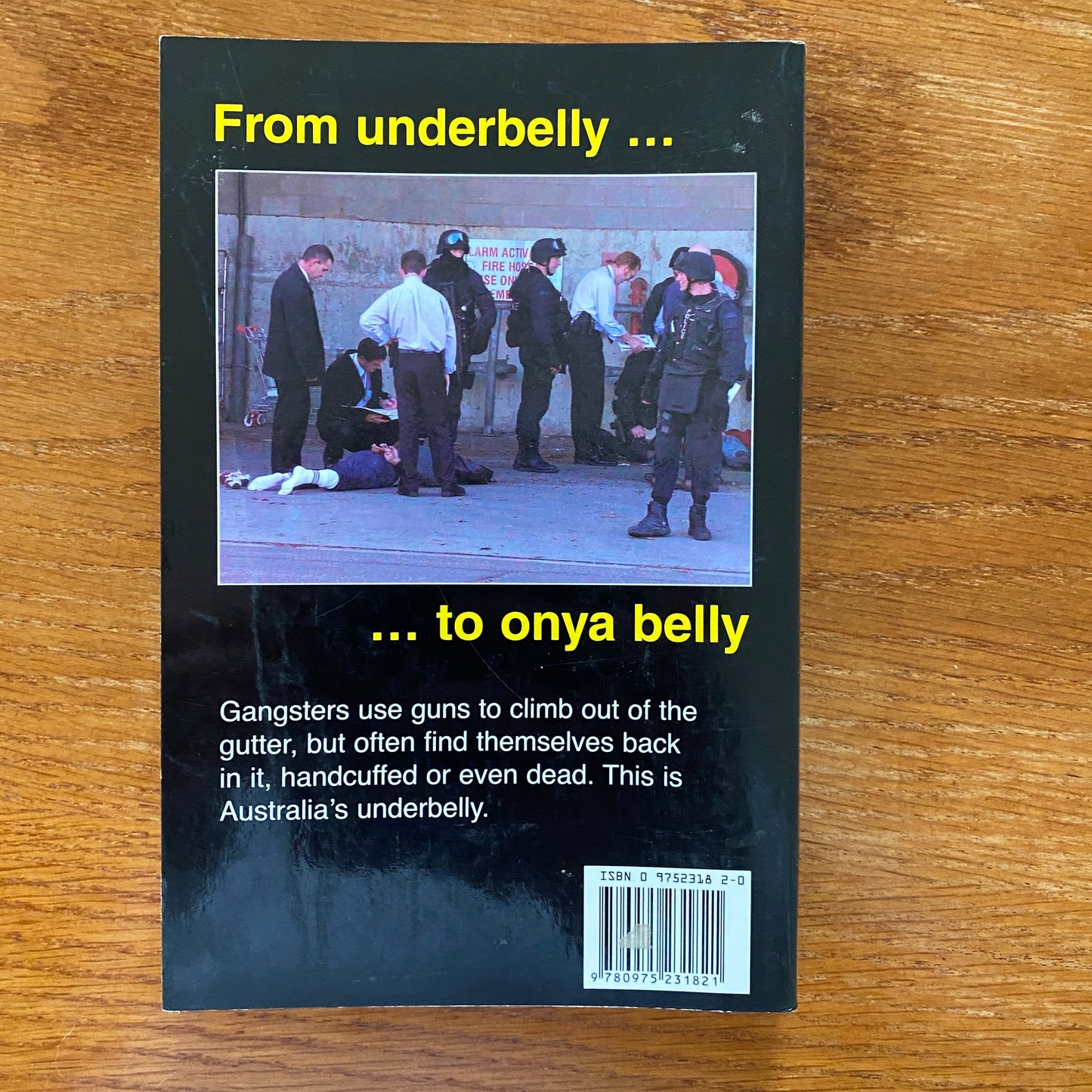 Underbelly 8: More True Crime Stories John Silvester & Andrew Rule