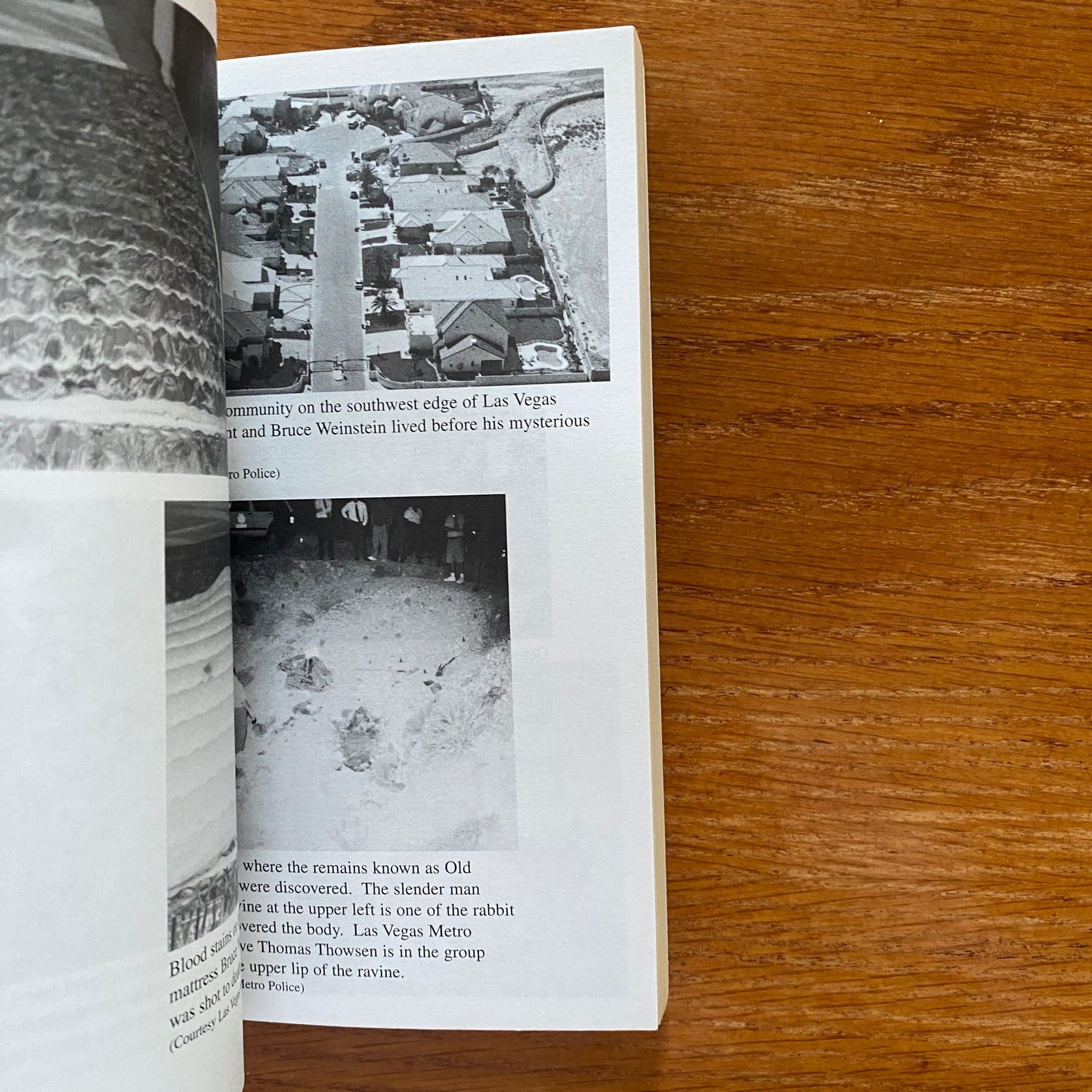 Blood In The Sand - Clifford L. Linedecker