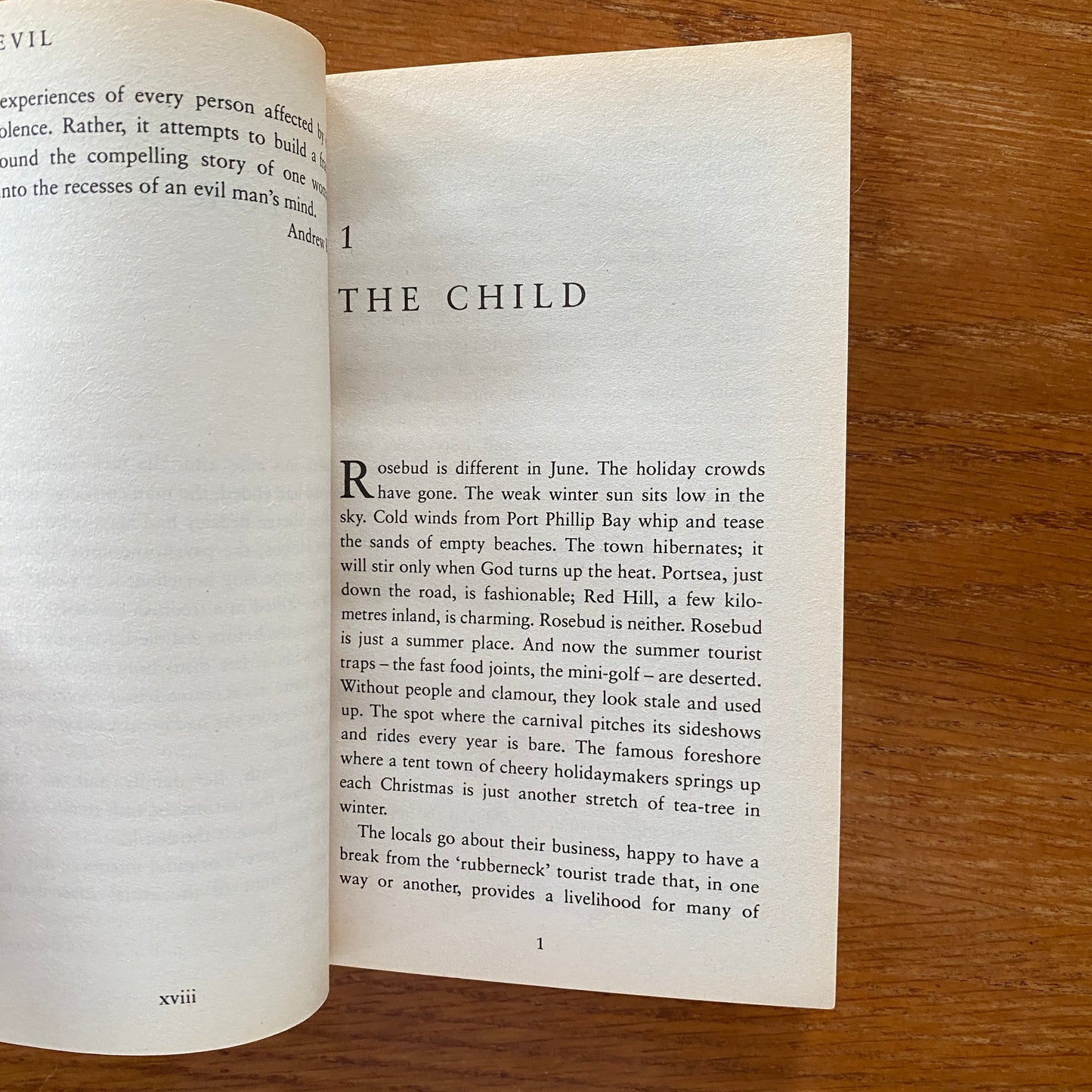 The Evil - Margaret Hobbs & Andrew Rule