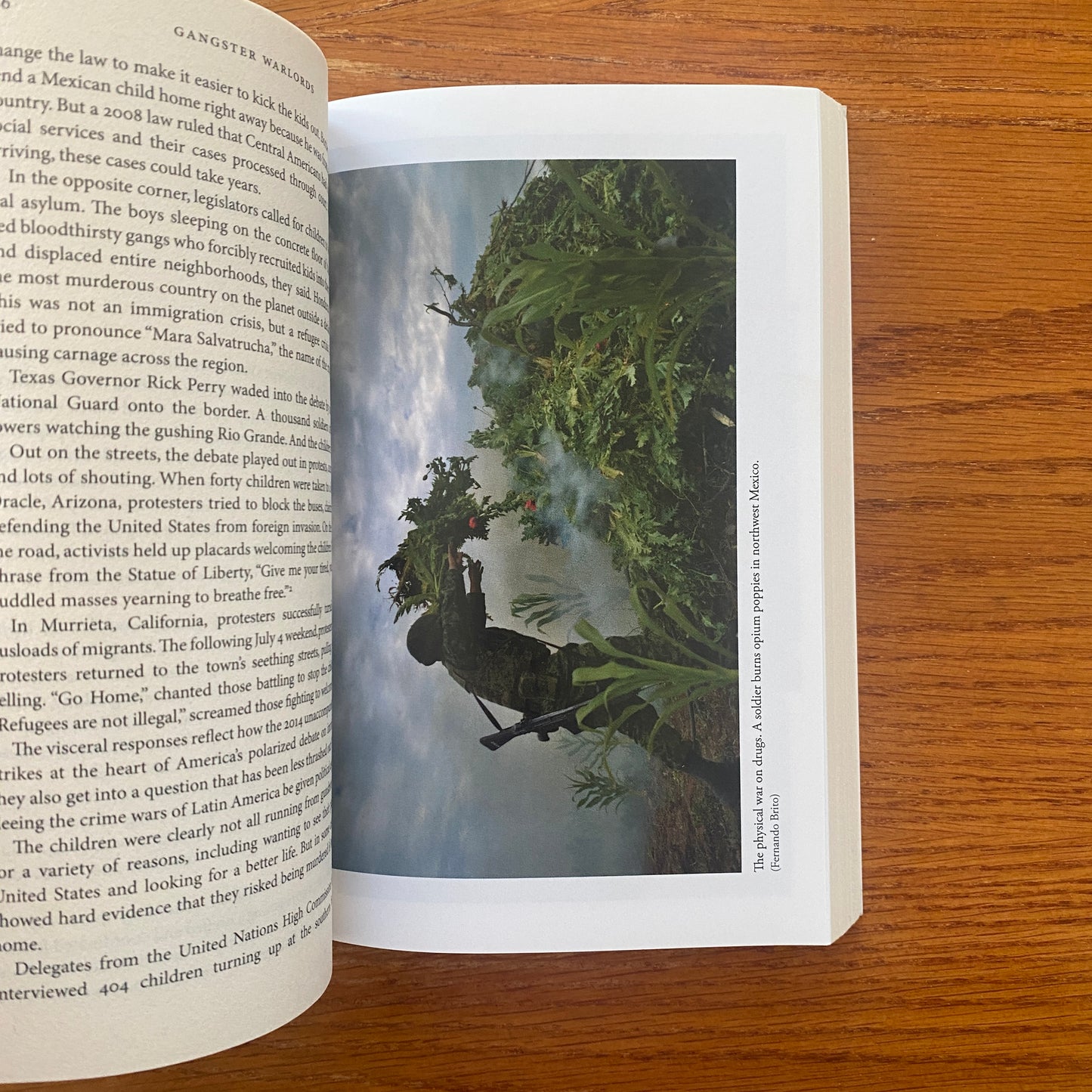 Gangster Warlords - Ioan Grillo