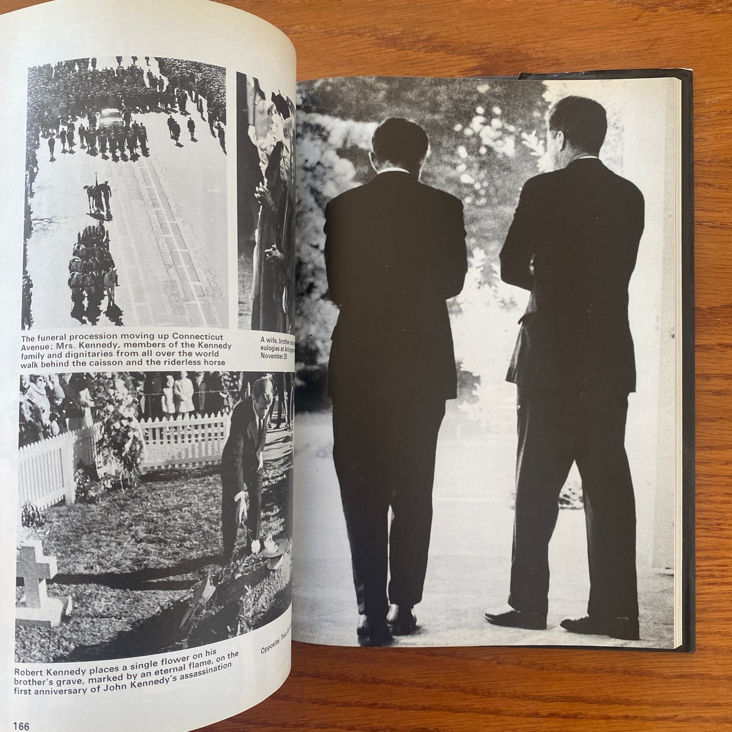 Assassination In Our Time - Sandy Lesberg