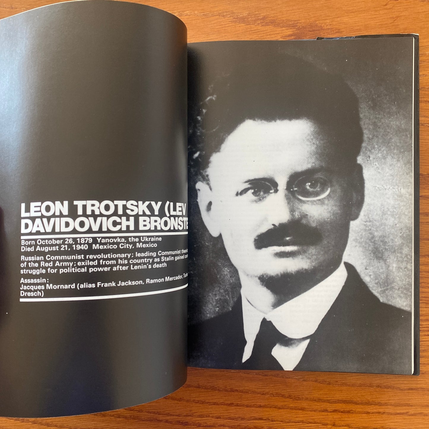 Assassination In Our Time - Sandy Lesberg