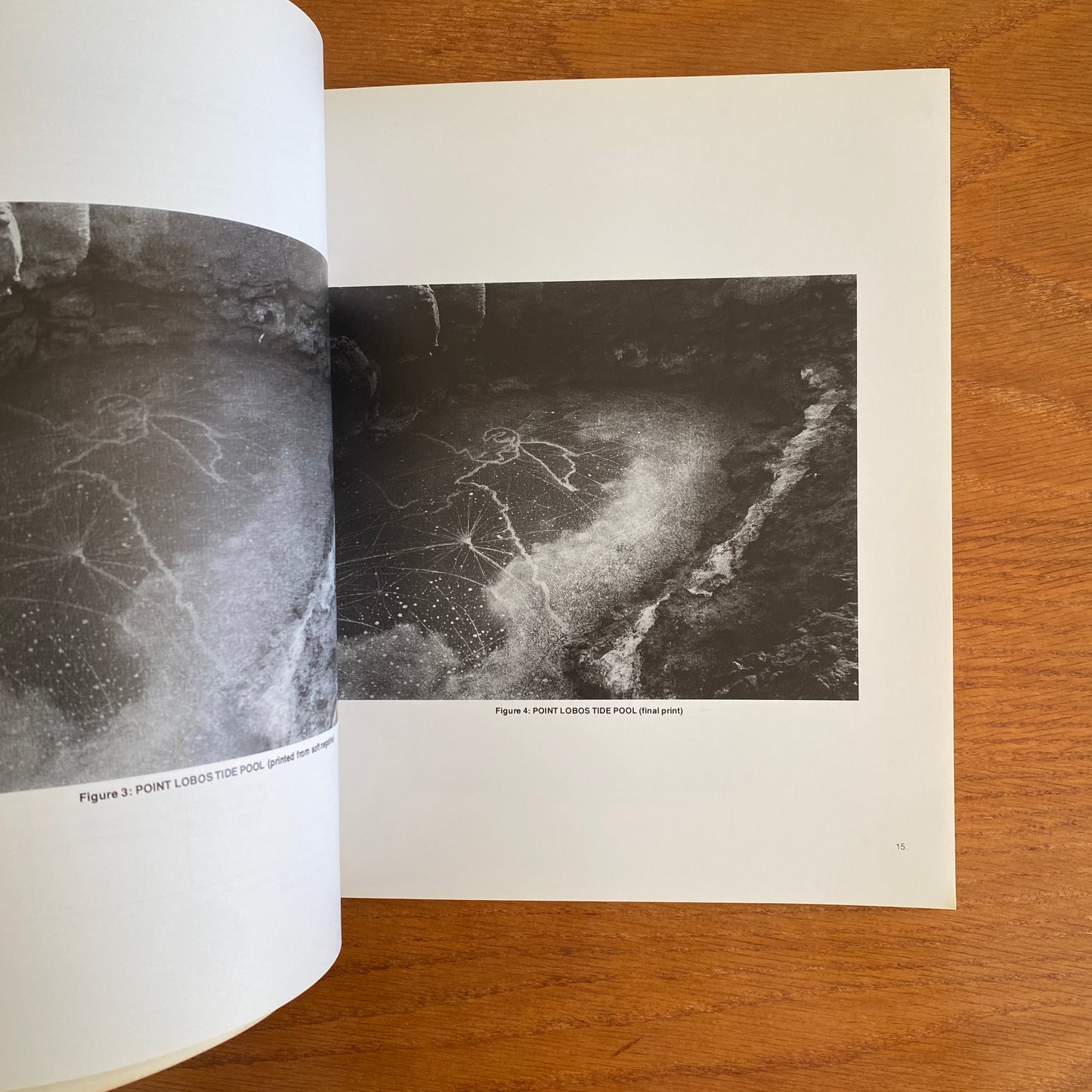 Darkroom - Elenor Lewis