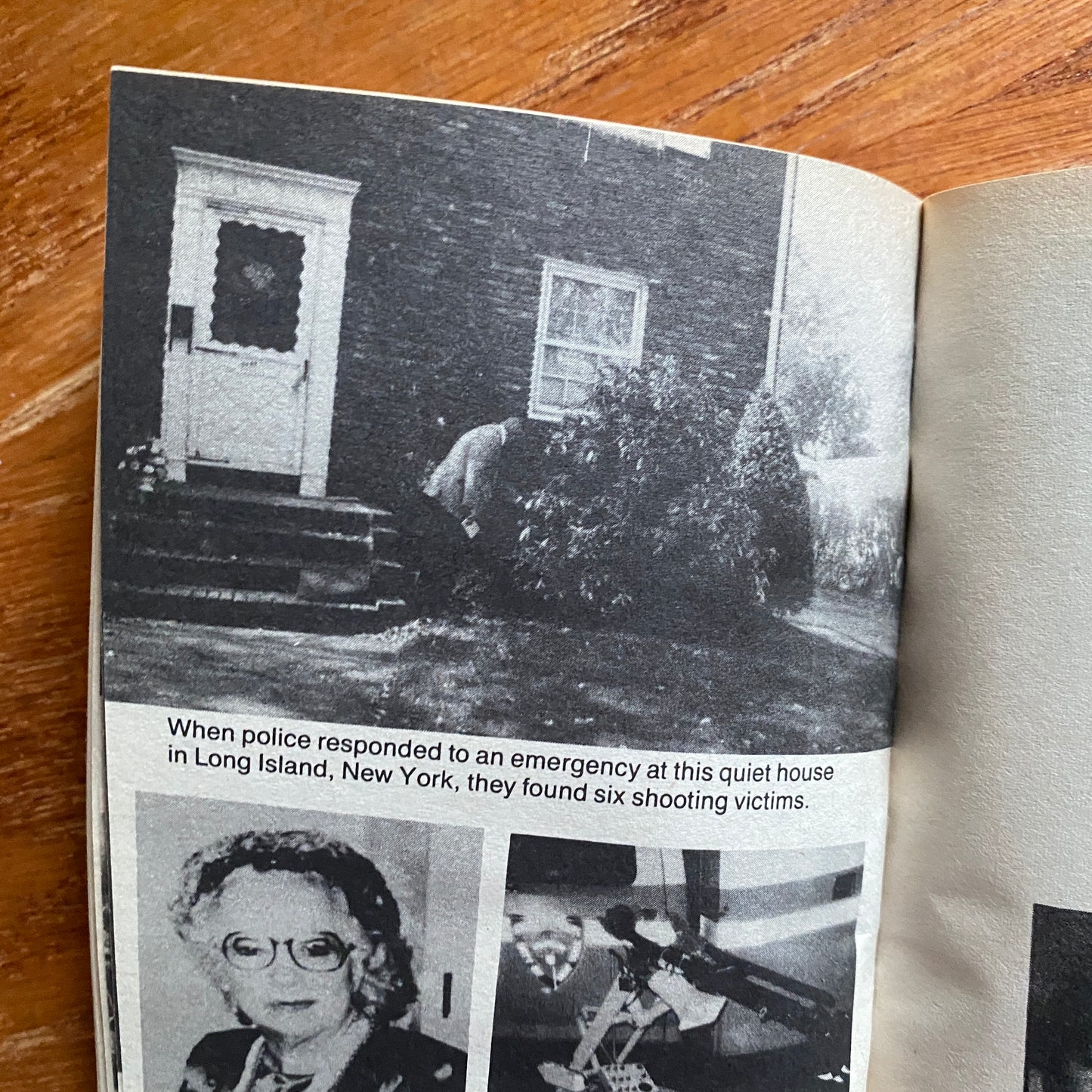 Mass Murderers - Rose G. Maselberg