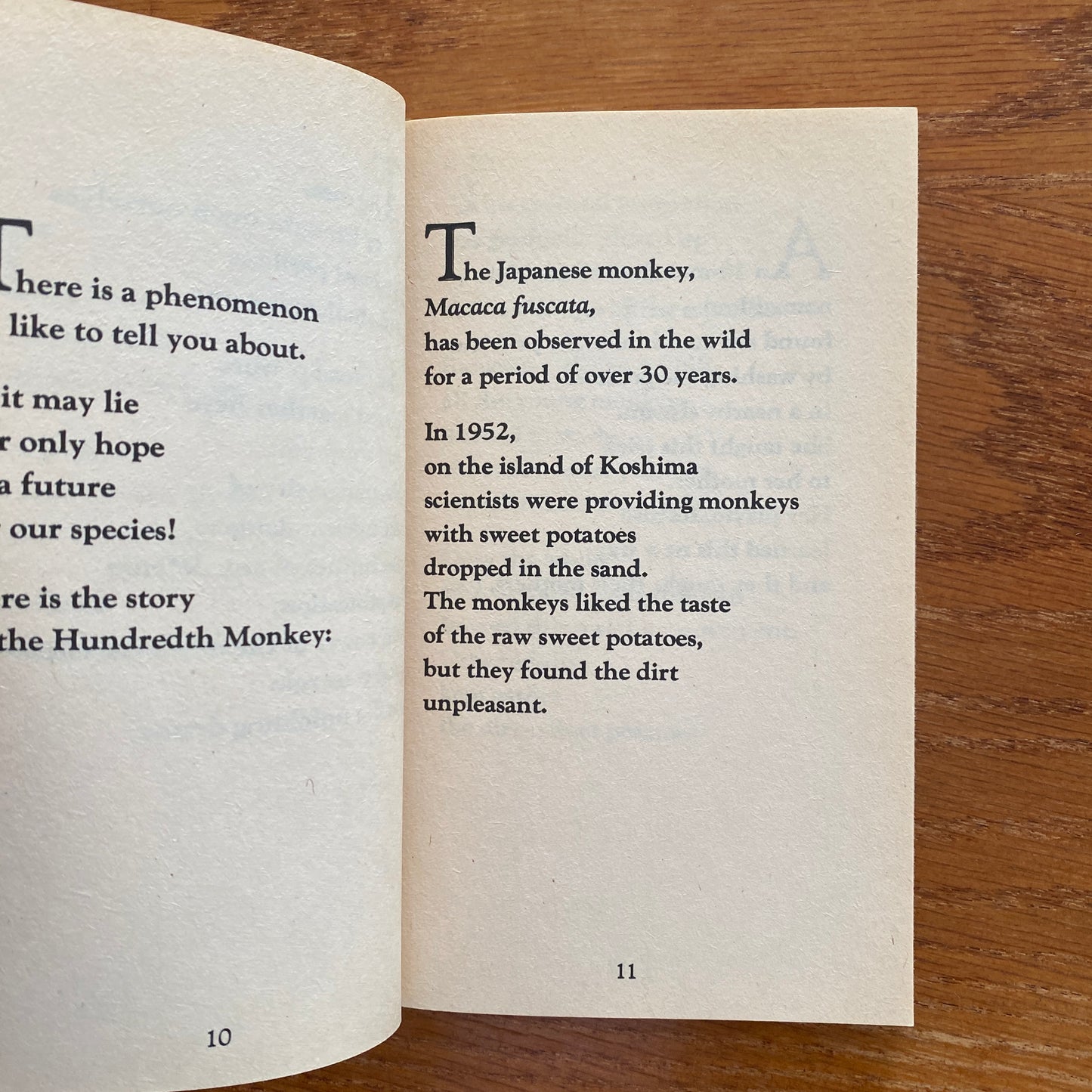 The Hundredth Monkey - Ken Keyes Jr