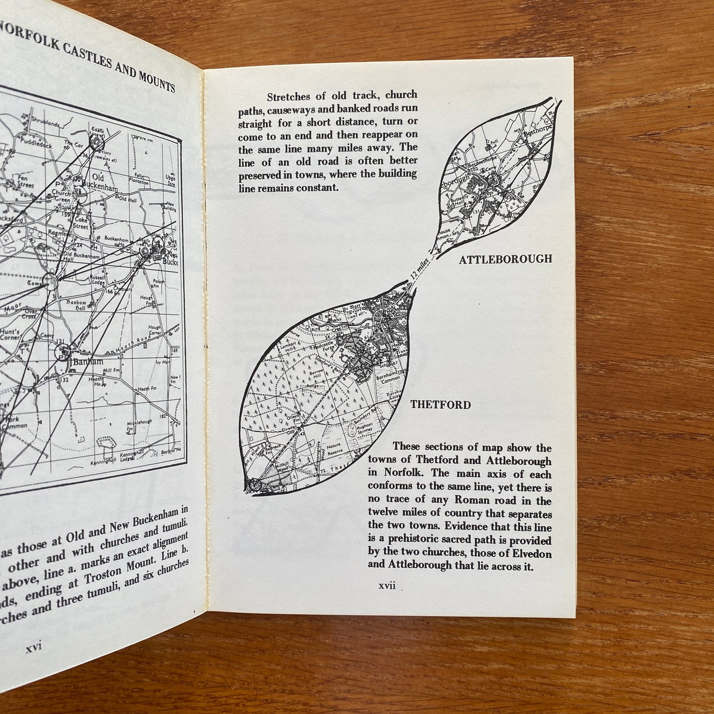 The View Over Atlantis - John Mitchell