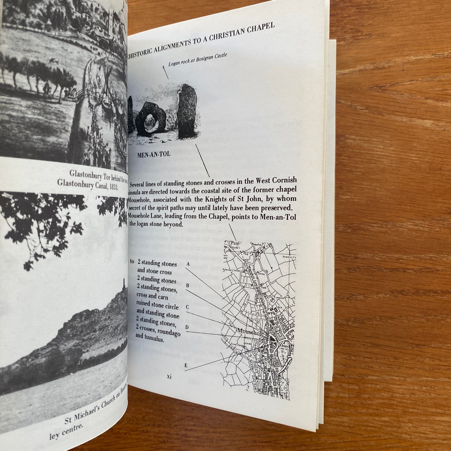 The View Over Atlantis - John Mitchell