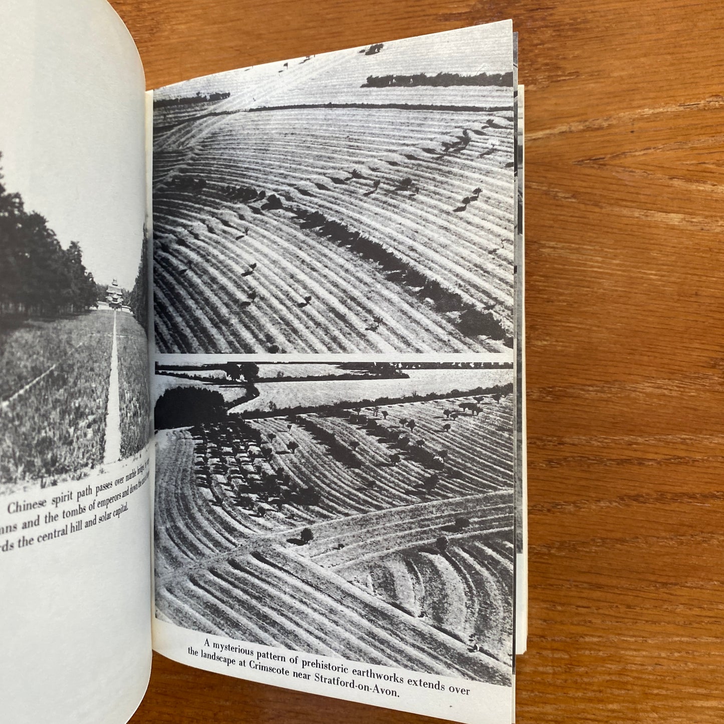 The View Over Atlantis - John Mitchell