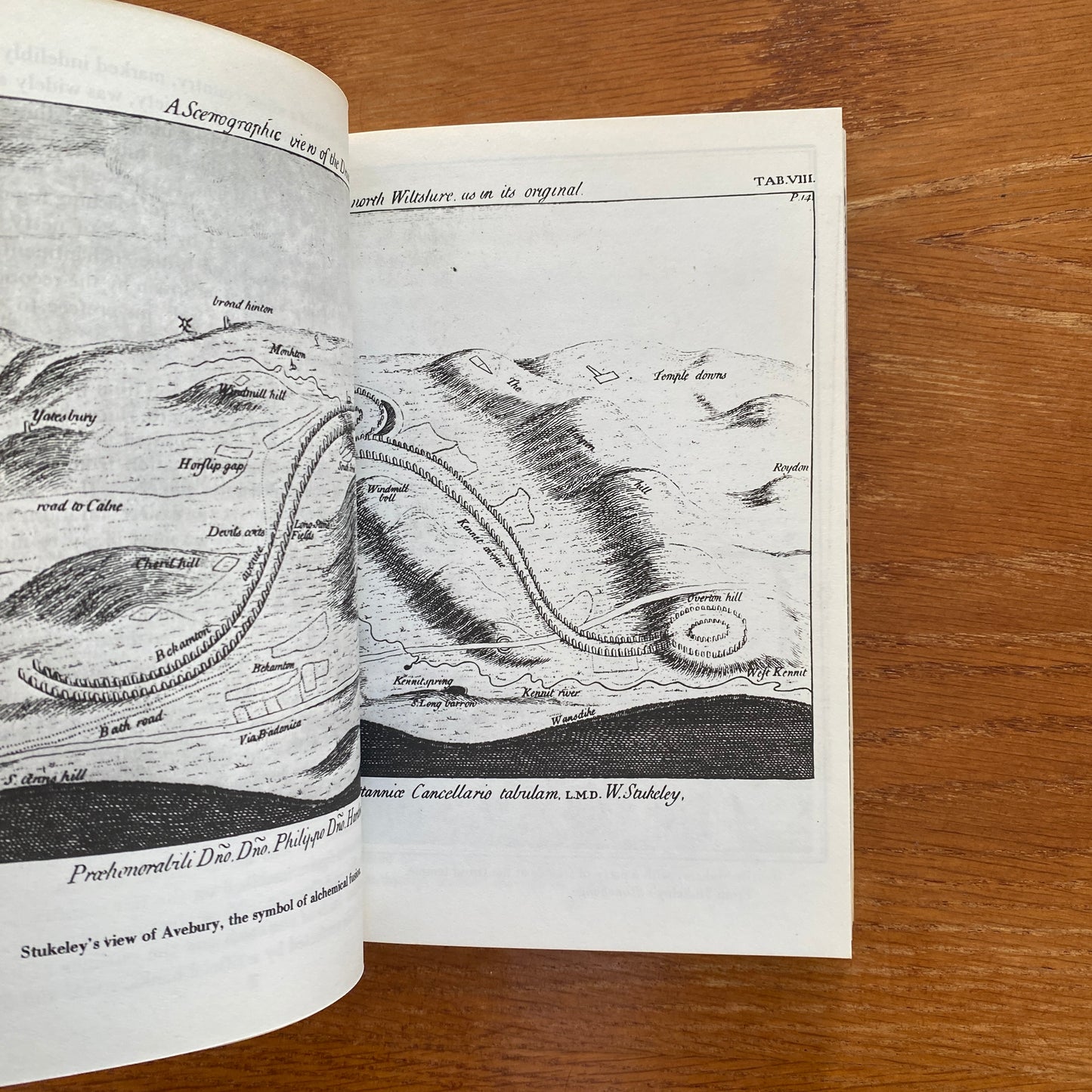 The View Over Atlantis - John Mitchell