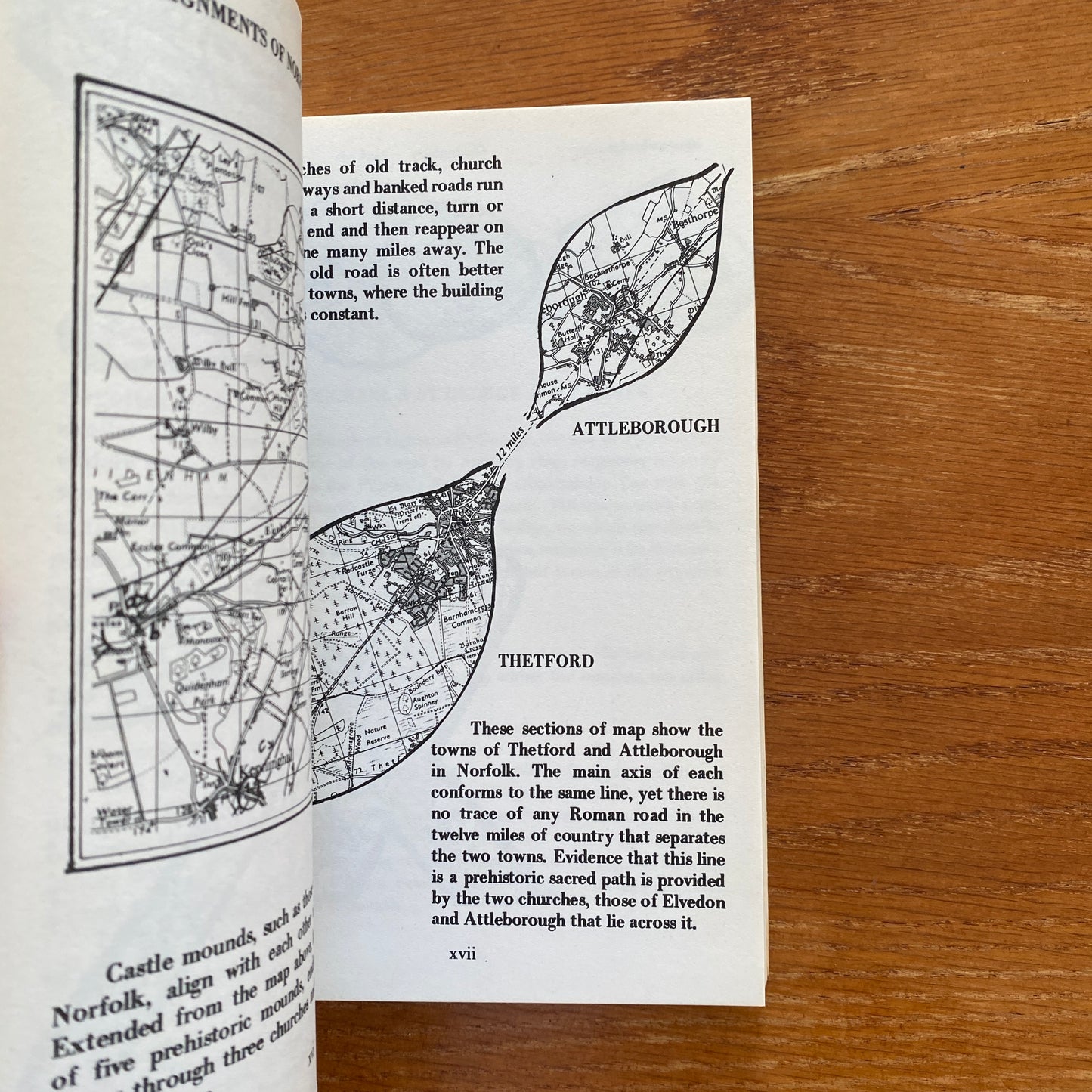 The View Over Atlantis - John Mitchell