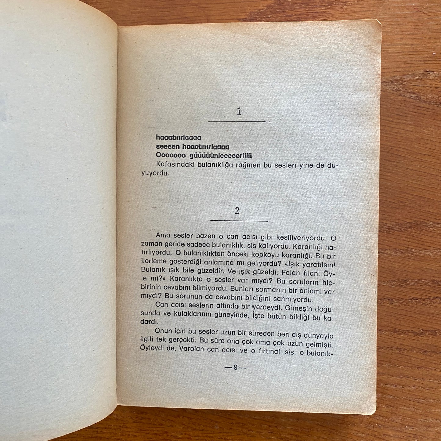 Sadist (Misery Turkish Edition) - Stephen King
