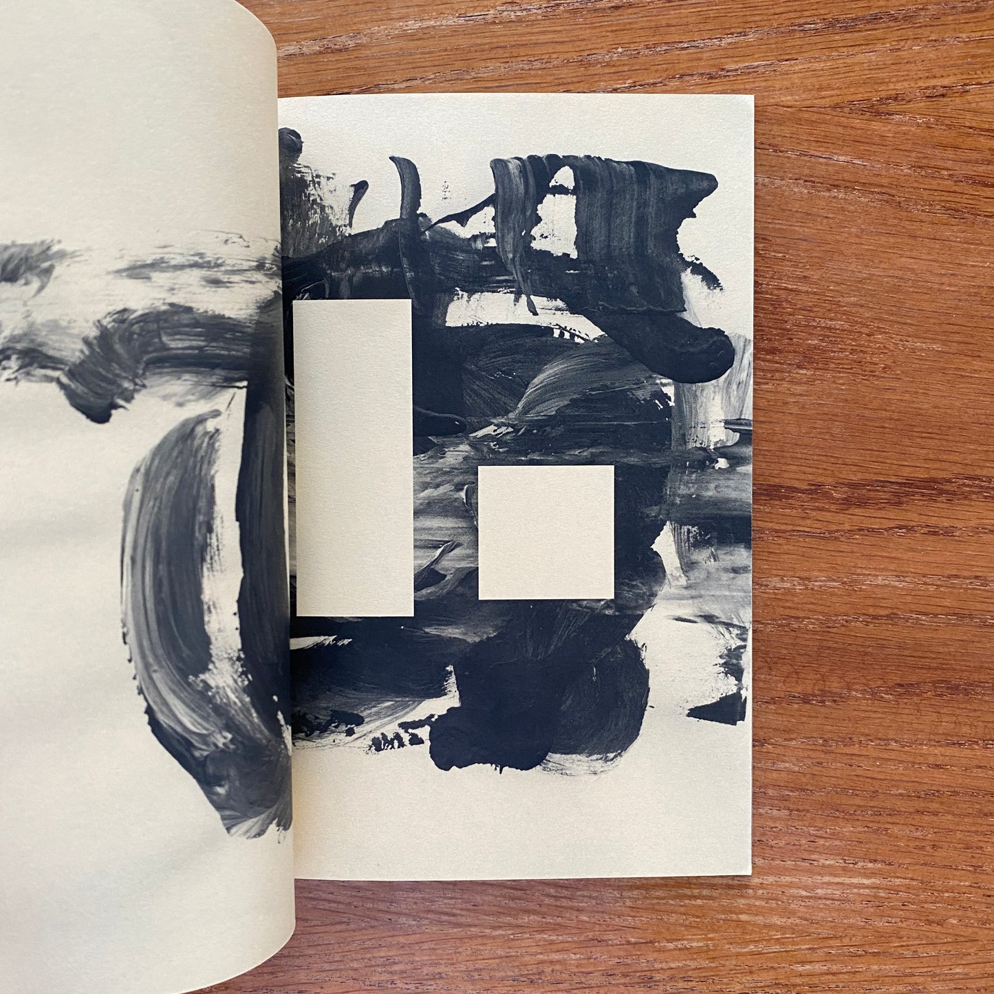 Acid Kate Clown - Misha Hollenbach