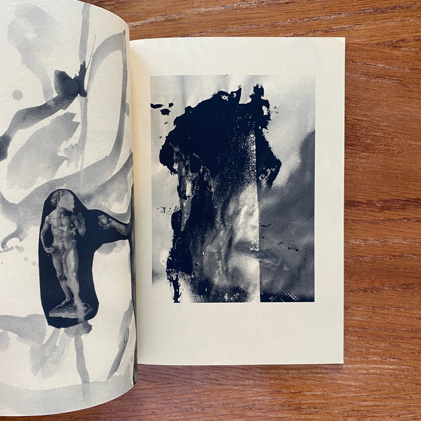 Acid Kate Clown - Misha Hollenbach