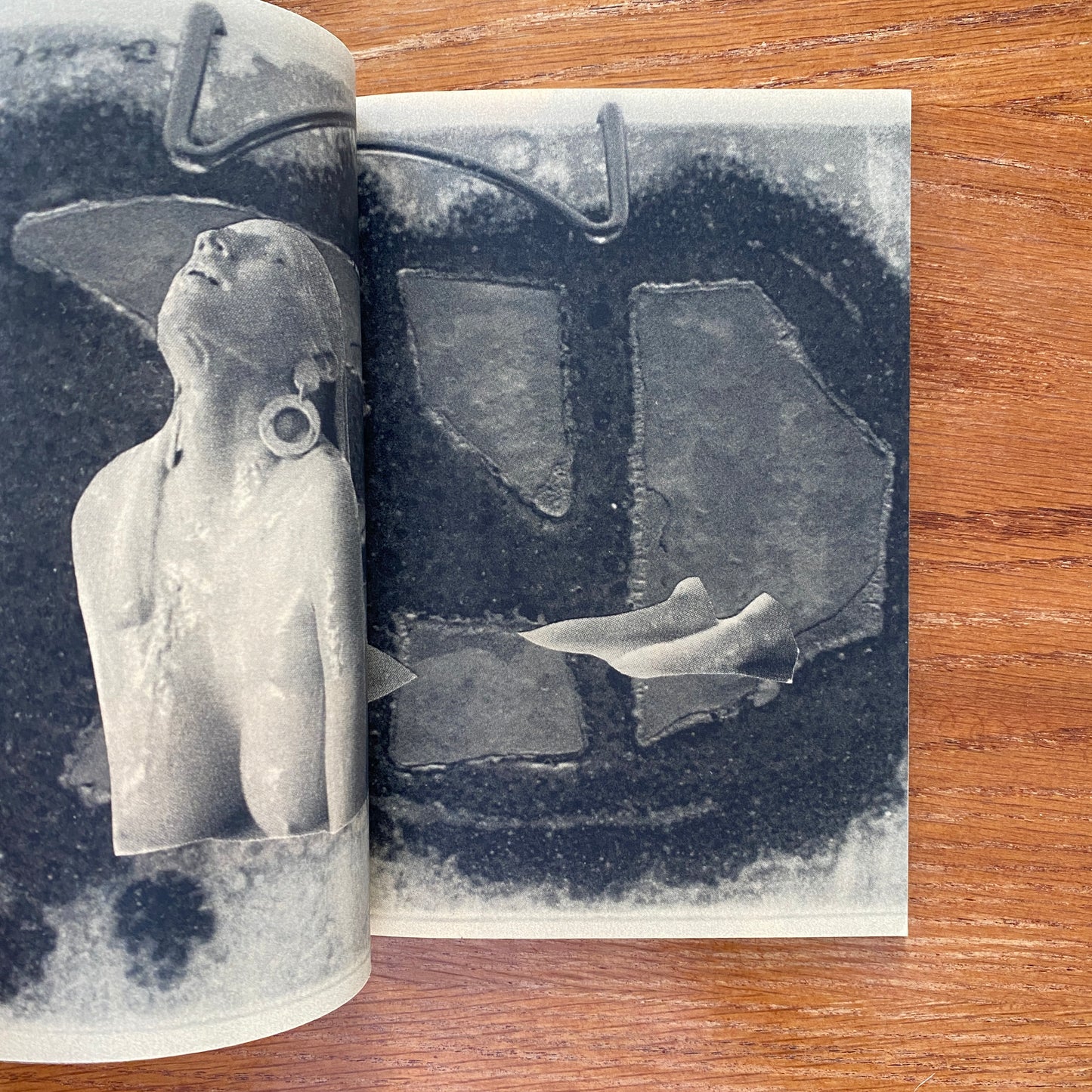 Acid Kate Clown - Misha Hollenbach