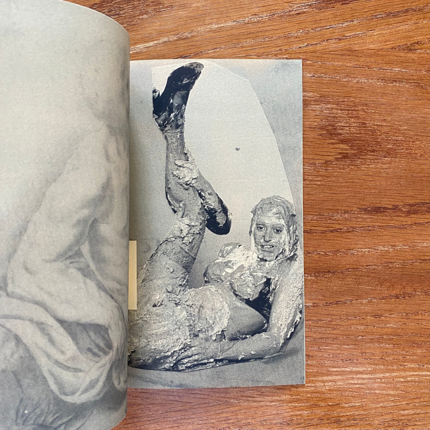 Acid Kate Clown - Misha Hollenbach