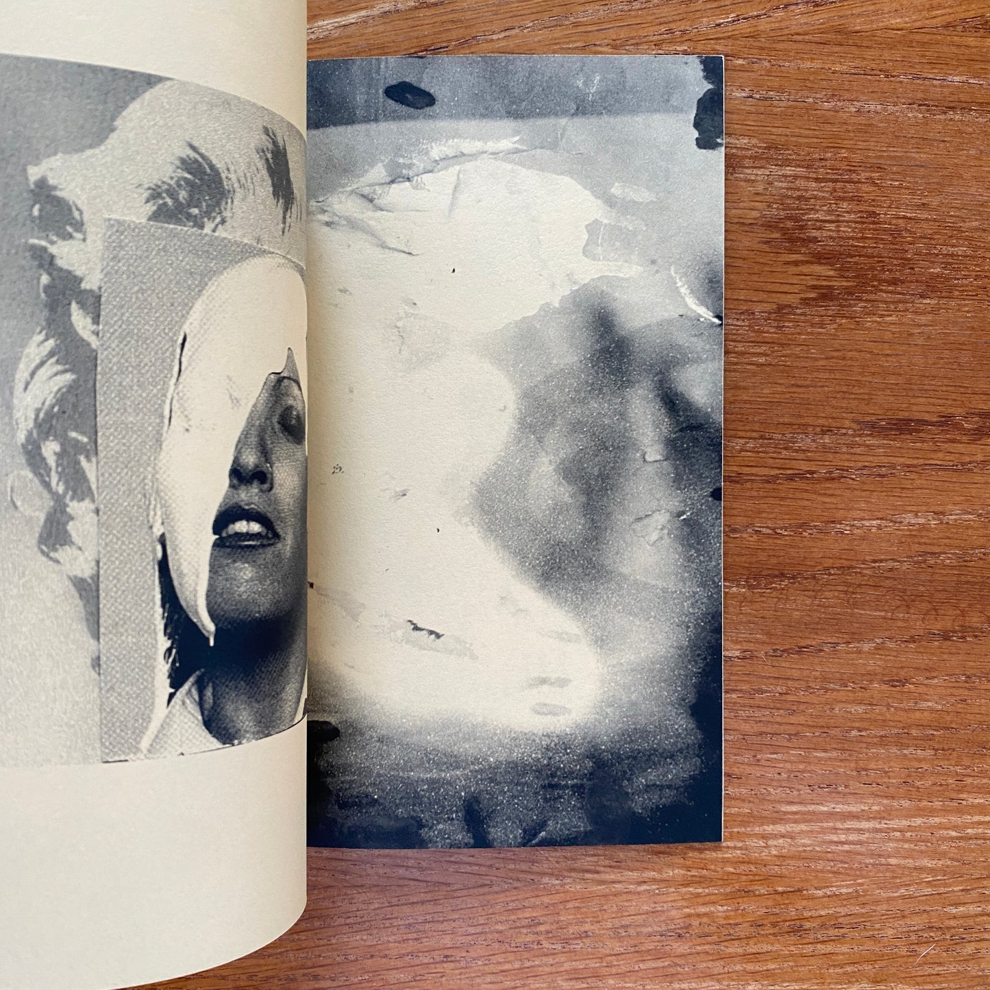 Acid Kate Clown - Misha Hollenbach