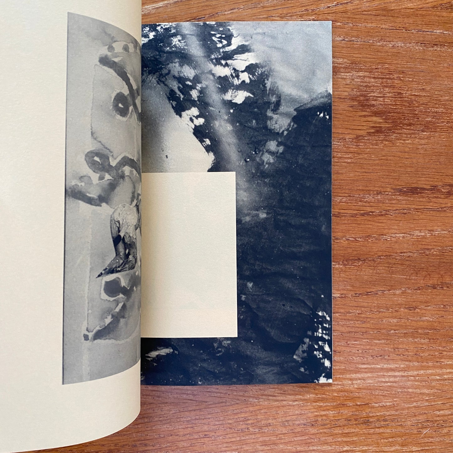 Acid Kate Clown - Misha Hollenbach