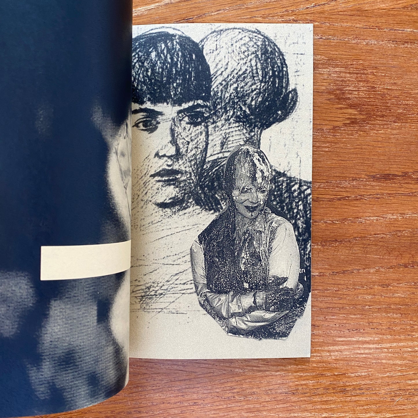 Acid Kate Clown - Misha Hollenbach