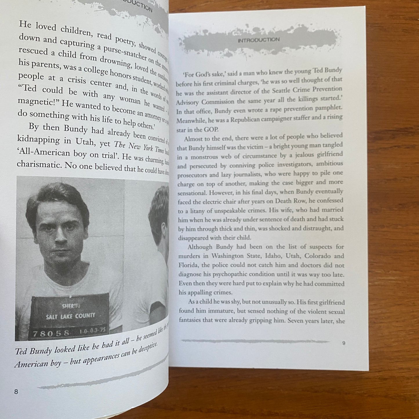 Ted Bundy - Al Cimino