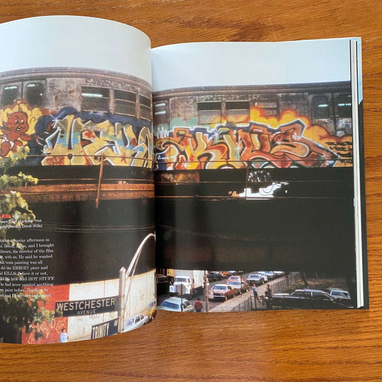 Dondi White Style Master General: The Life of Graffiti Artist Dondi White