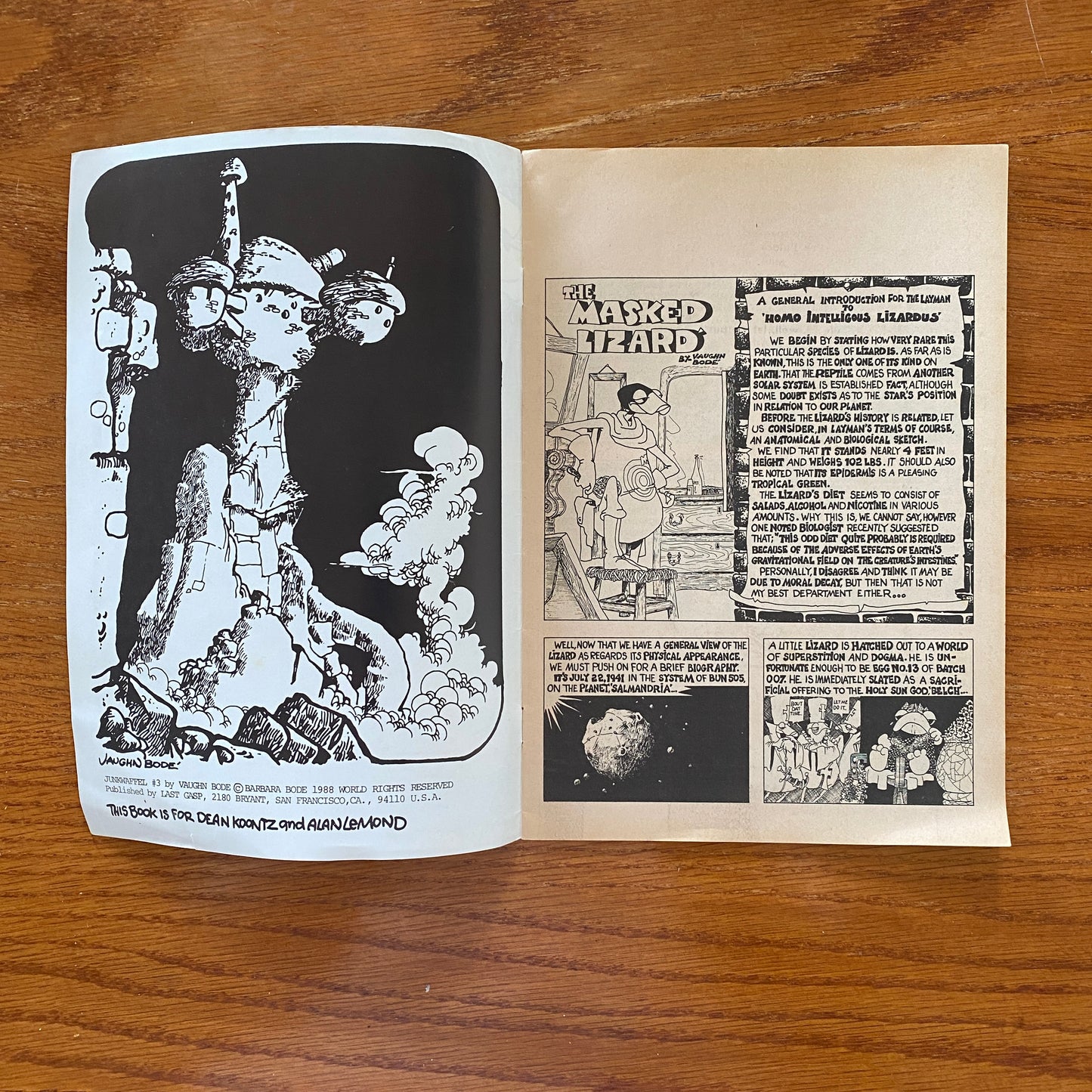 Junkwaffle 3 - Vaughn Bode