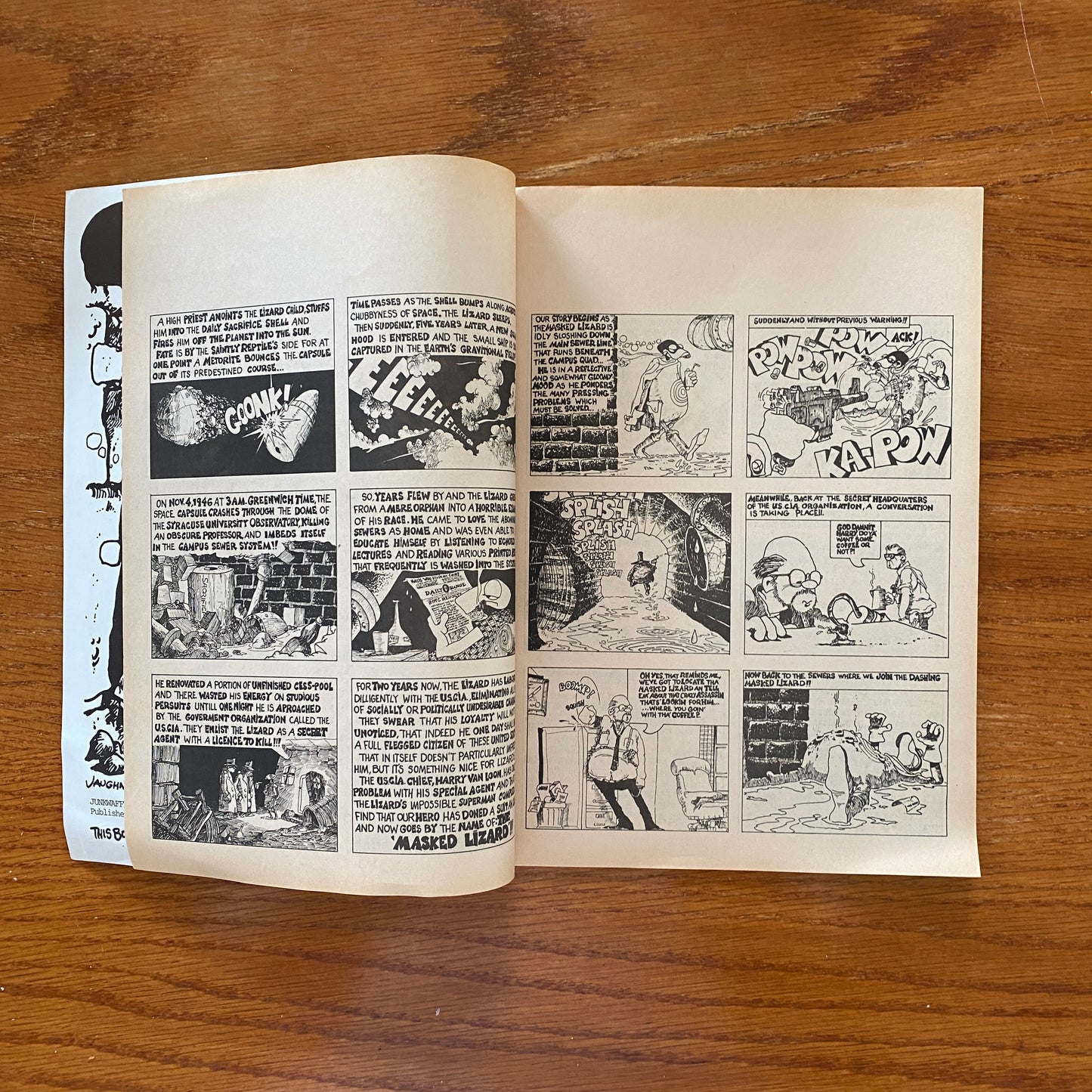 Junkwaffle 3 - Vaughn Bode