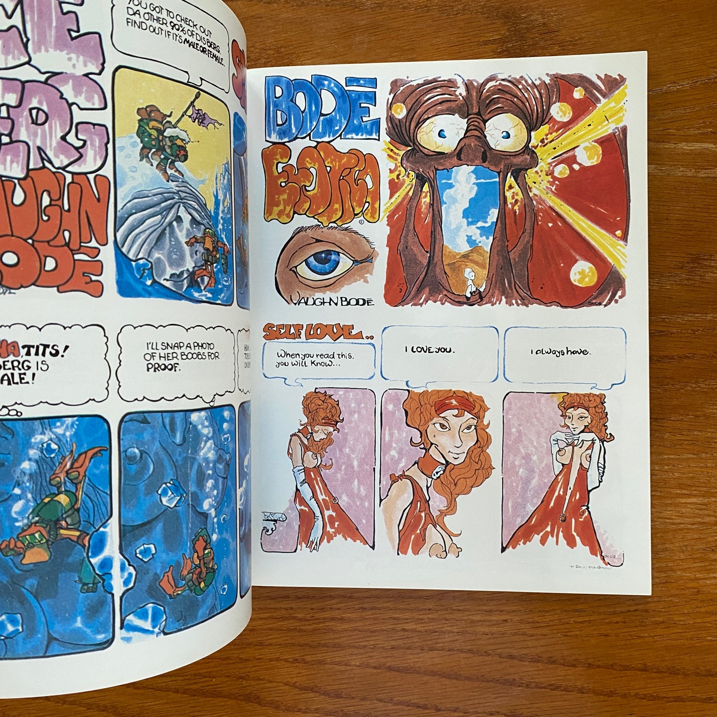 Bode's Erotica Volume 3 - Vaughn Bode