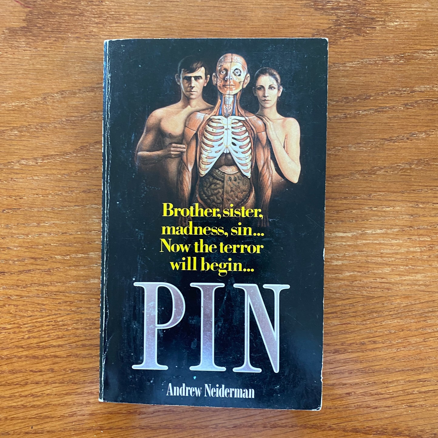 Pin - Andrew Neiderman