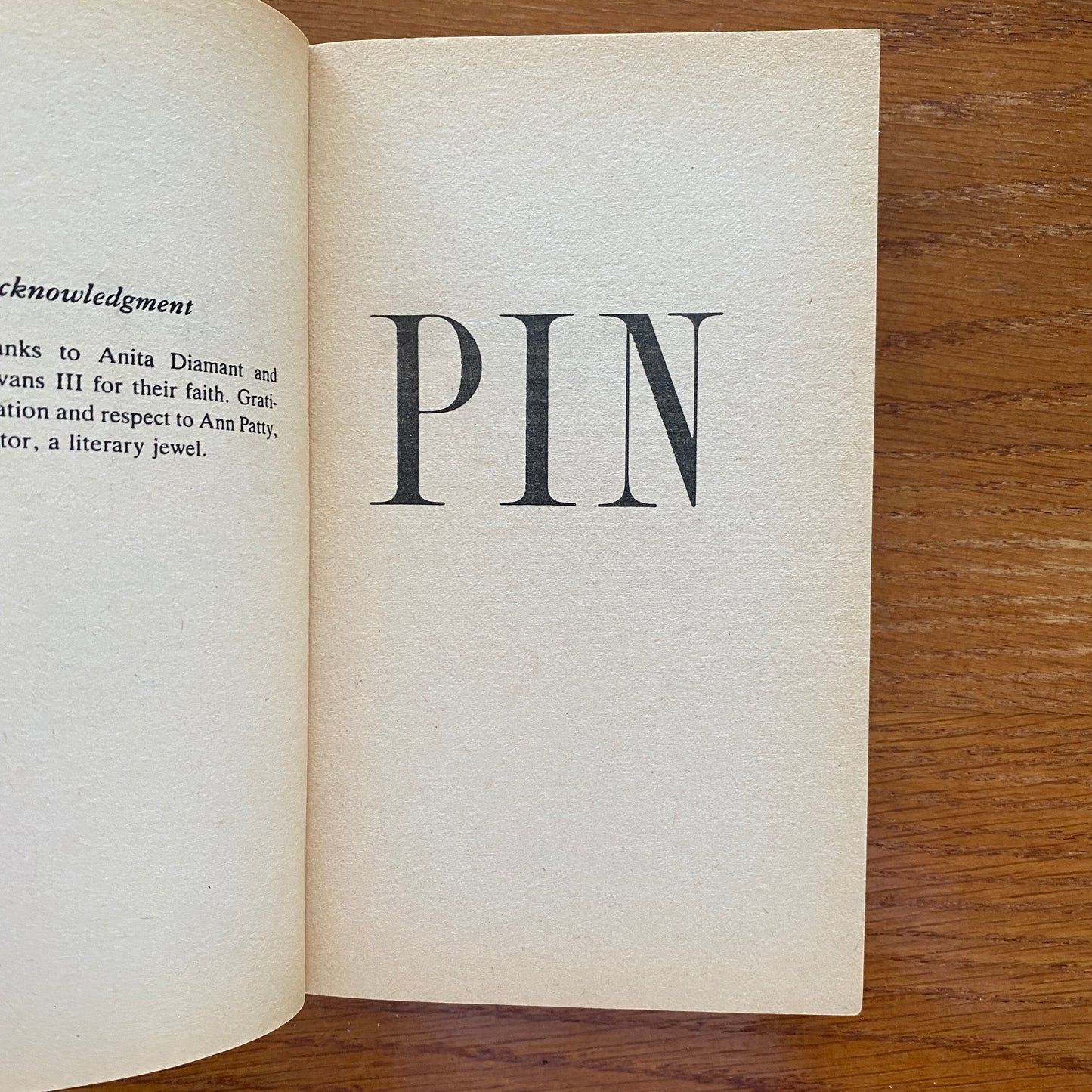 Pin - Andrew Neiderman