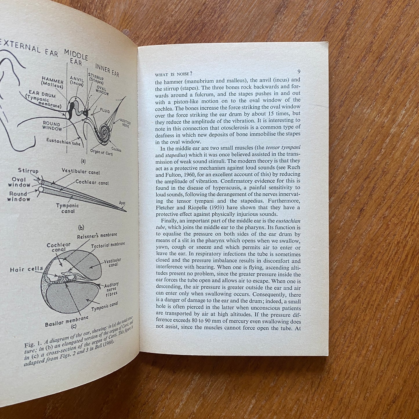 Noise and Society - Charles Rodda