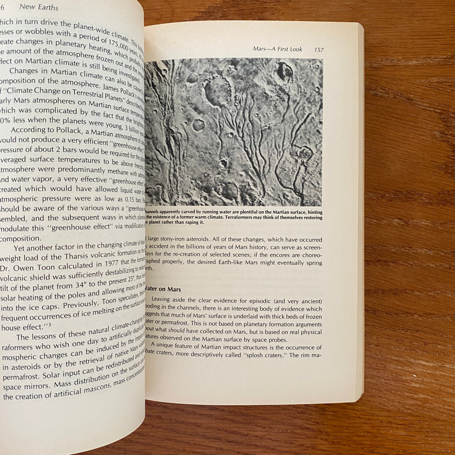 New Earths: Restructuring Earth and Other Planets - James Edward Oberg