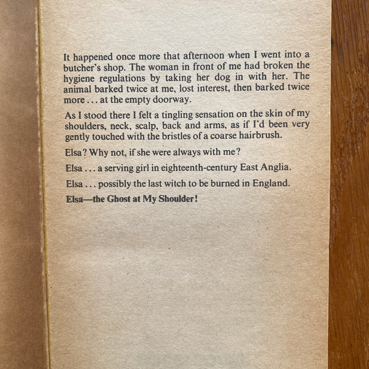 The Ghost At My Shoulder - Terry Palmer