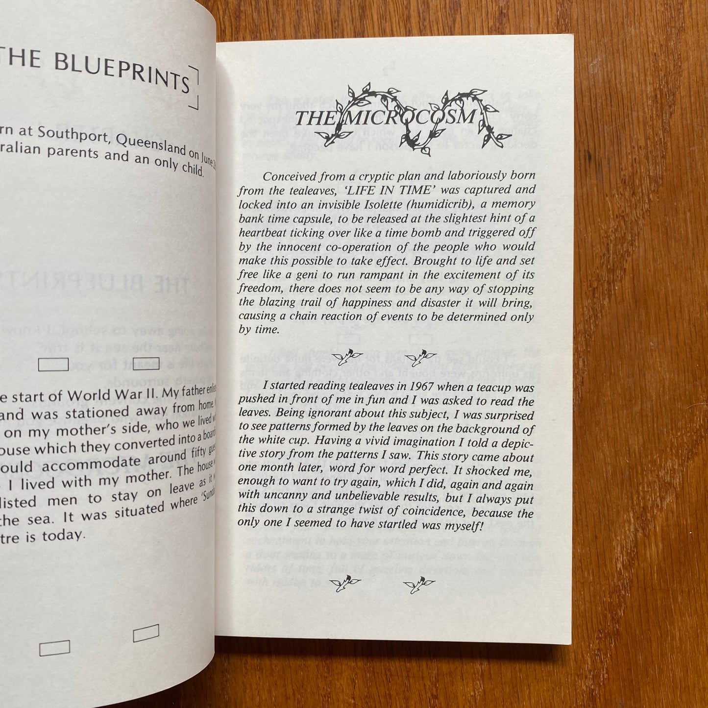 Run the Gauntlet: Tea Leaf Communication : a Silent Communication Through the Art of Mental Telepathy by Applying Mind Vs. Mind - Lillian Joyce Spencer