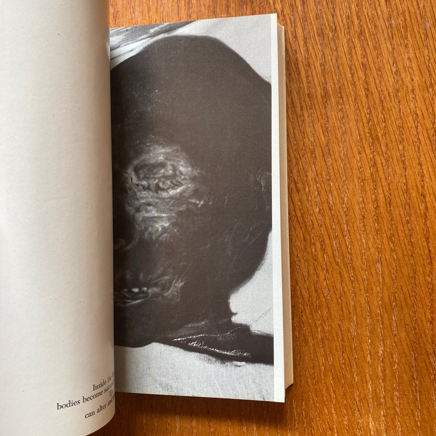 In Search of Strange Phenomena - Alan Landsburg