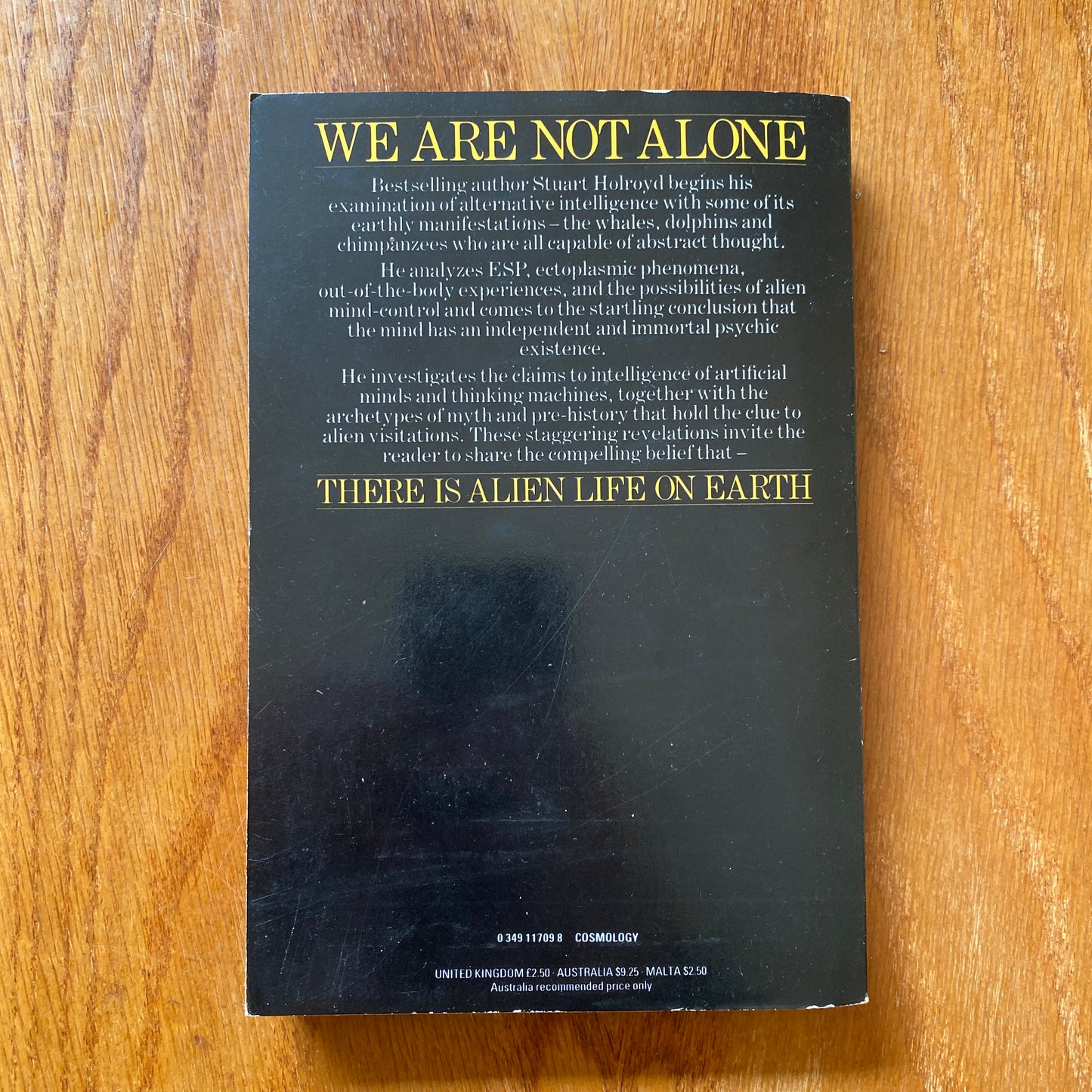 Alien Intelligence - Stuart Holroyd