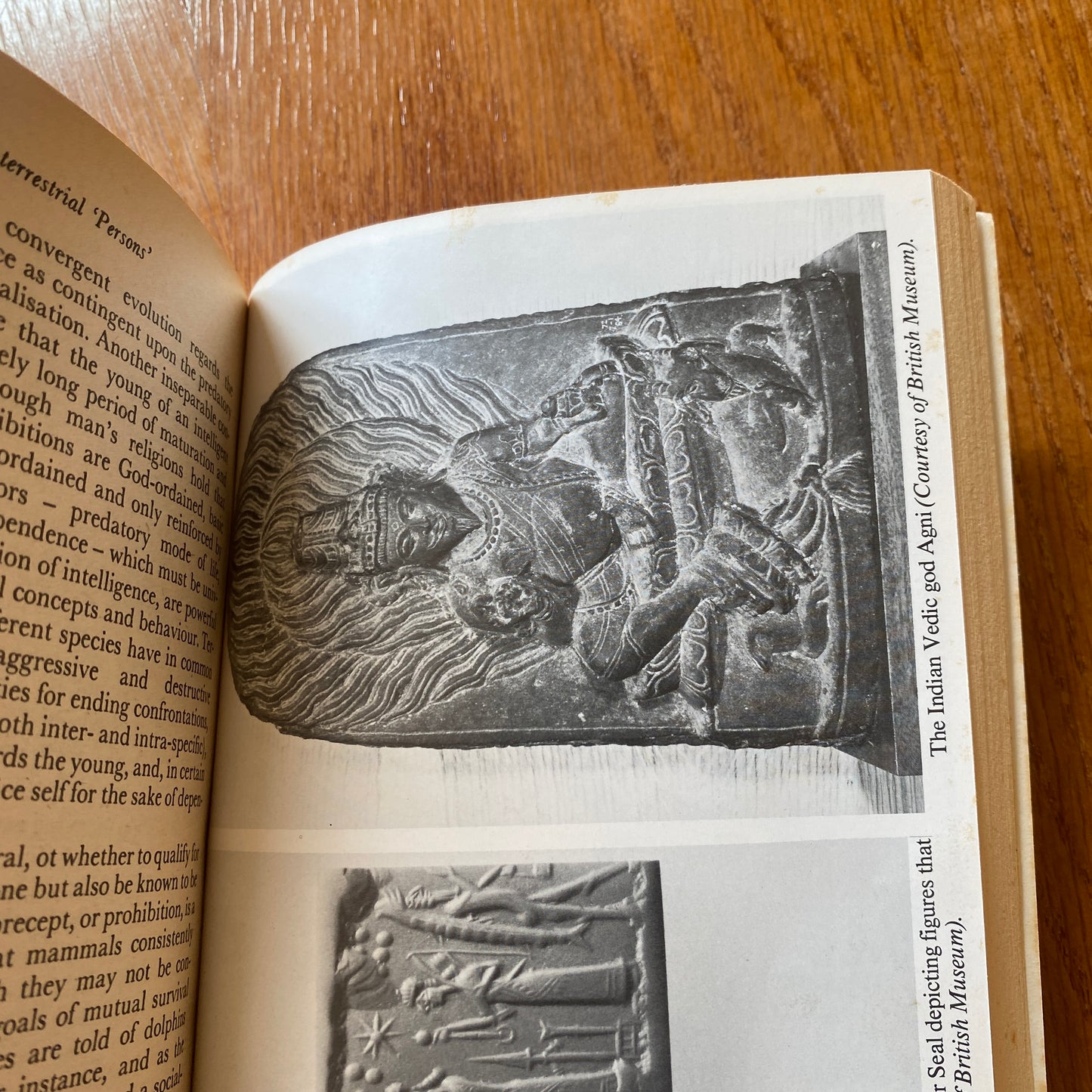 Alien Intelligence - Stuart Holroyd