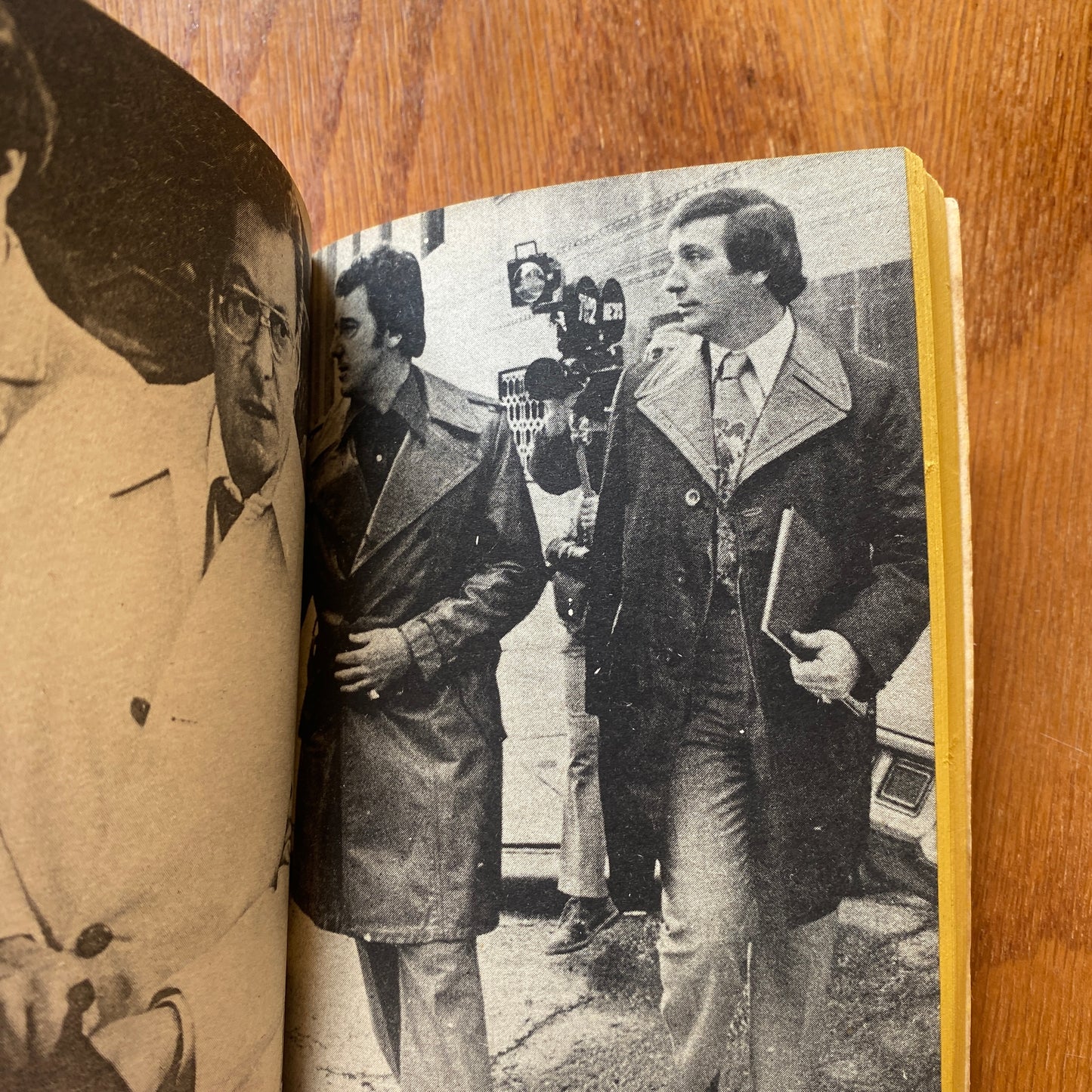 The Strange Disappearance of Jimmy Hoffa - Ashman & Sobel