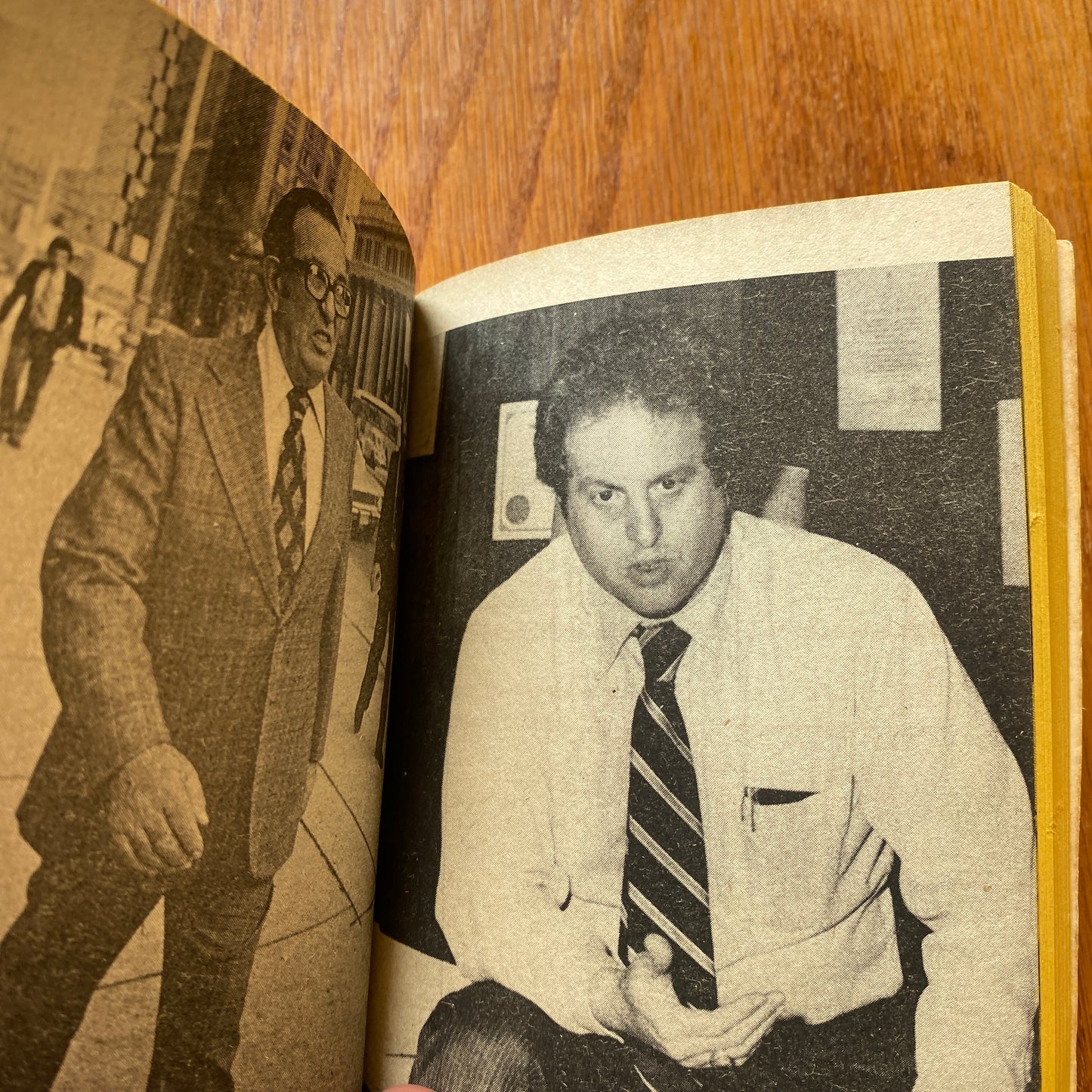 The Strange Disappearance of Jimmy Hoffa - Ashman & Sobel