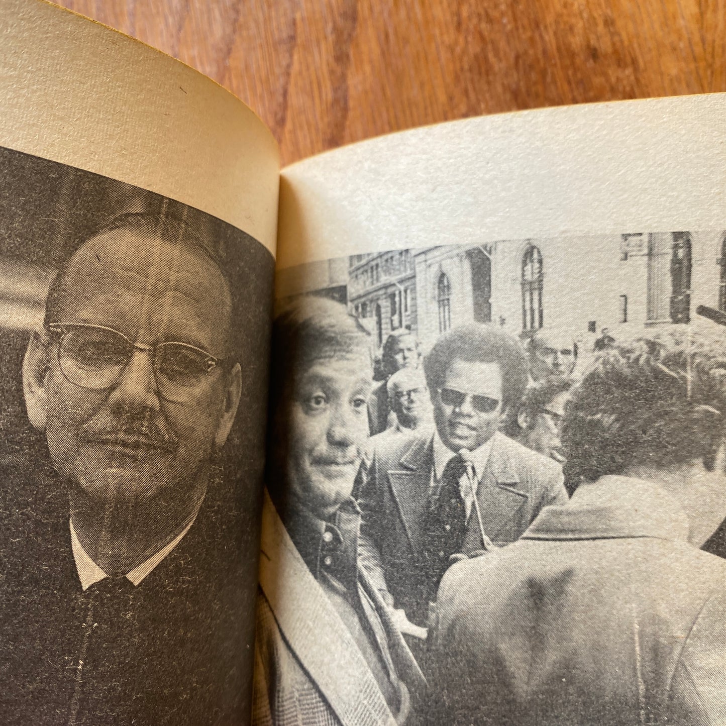 The Strange Disappearance of Jimmy Hoffa - Ashman & Sobel