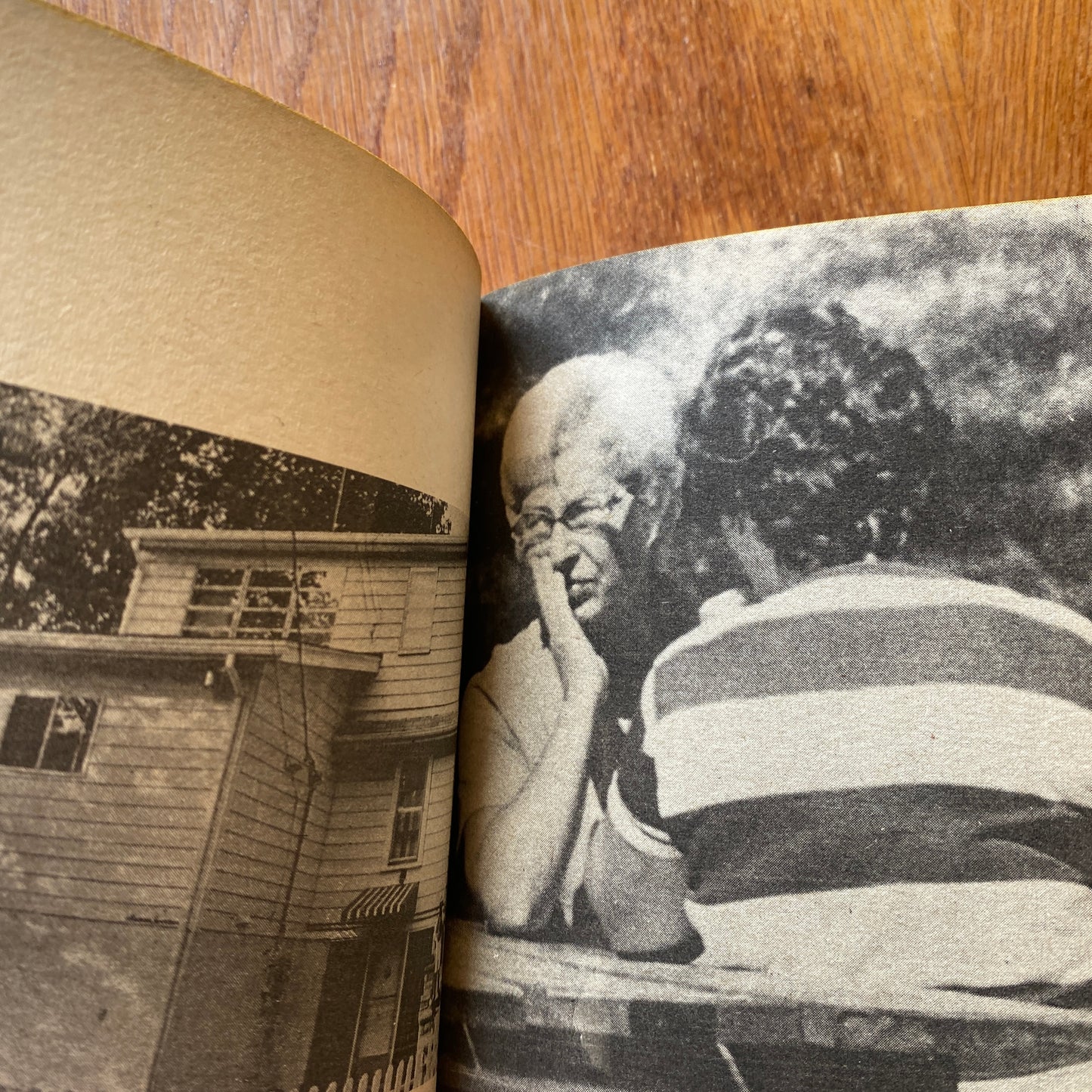 The Strange Disappearance of Jimmy Hoffa - Ashman & Sobel