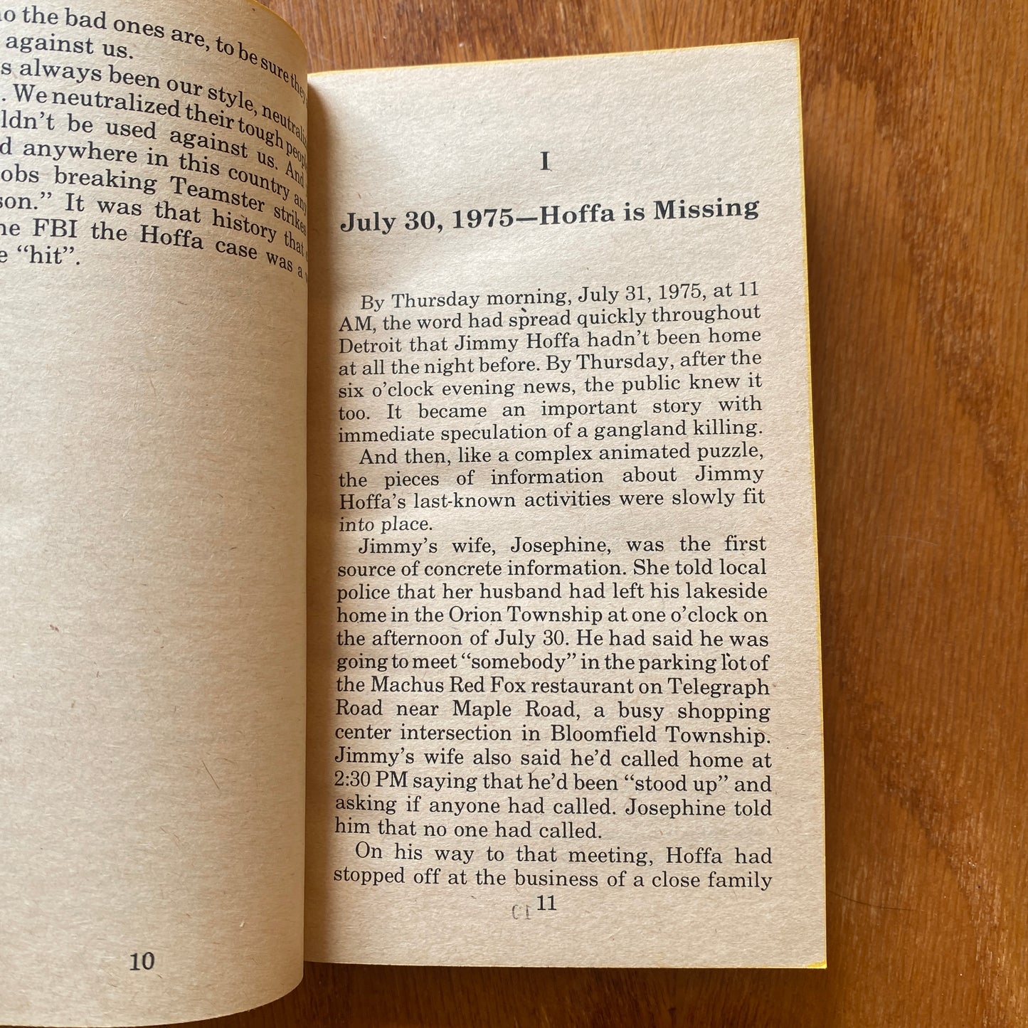 The Strange Disappearance of Jimmy Hoffa - Ashman & Sobel