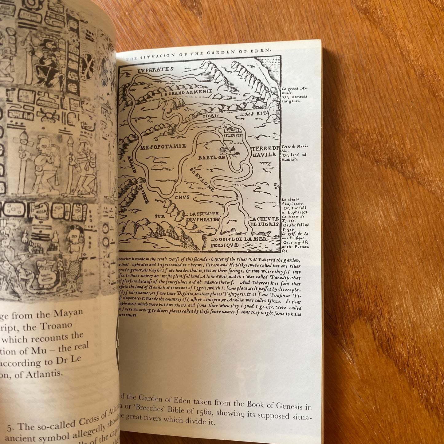 The Search for Lost Worlds - James Wellard