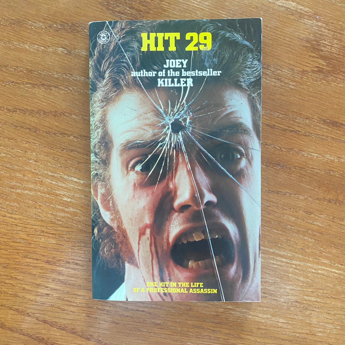 Hit 29 - Joey