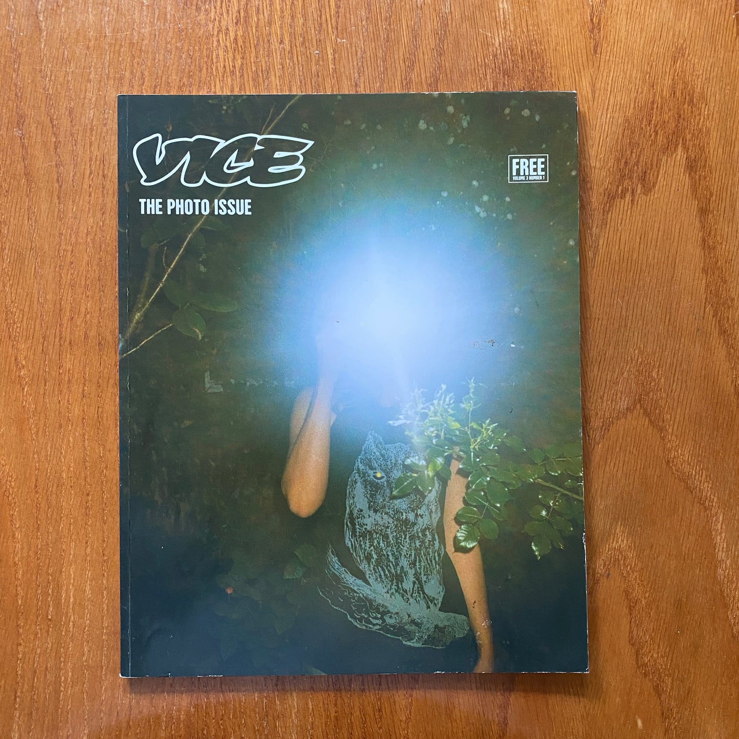 VICE V3N1