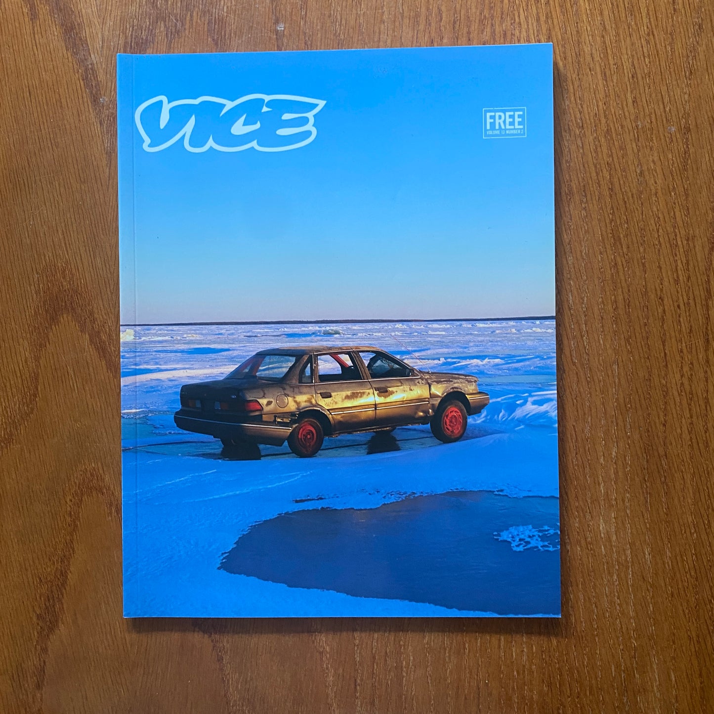 VICE V13N2