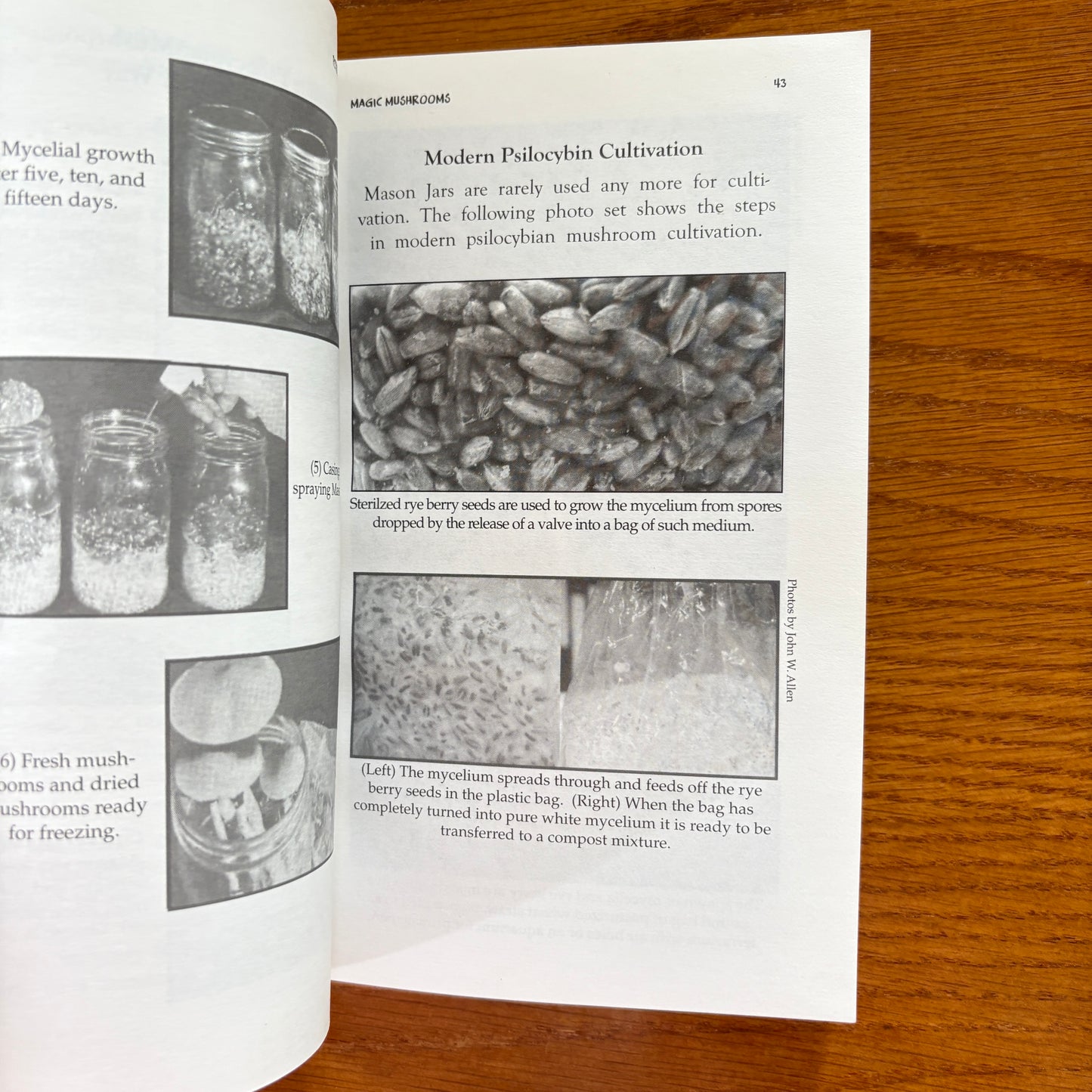 Magic Mushrooms - Peter Strafford