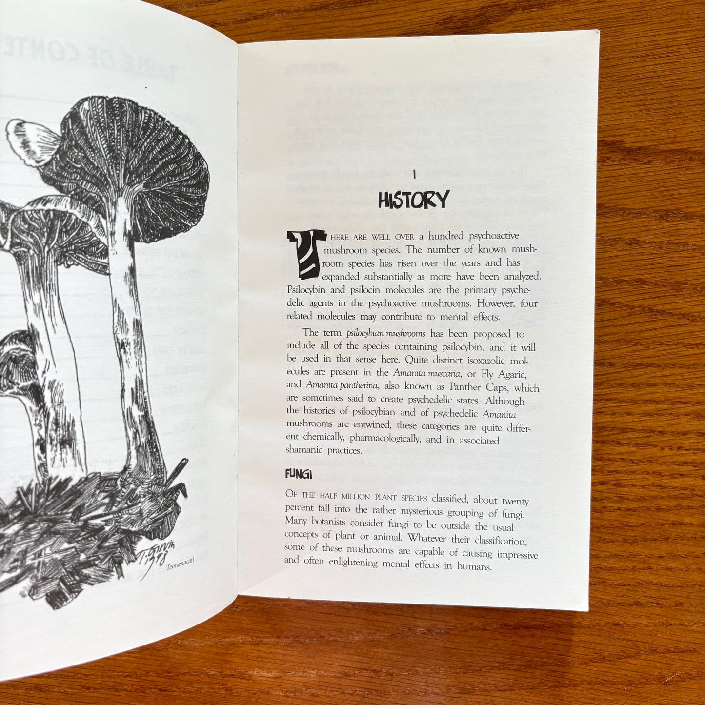 Magic Mushrooms - Peter Strafford