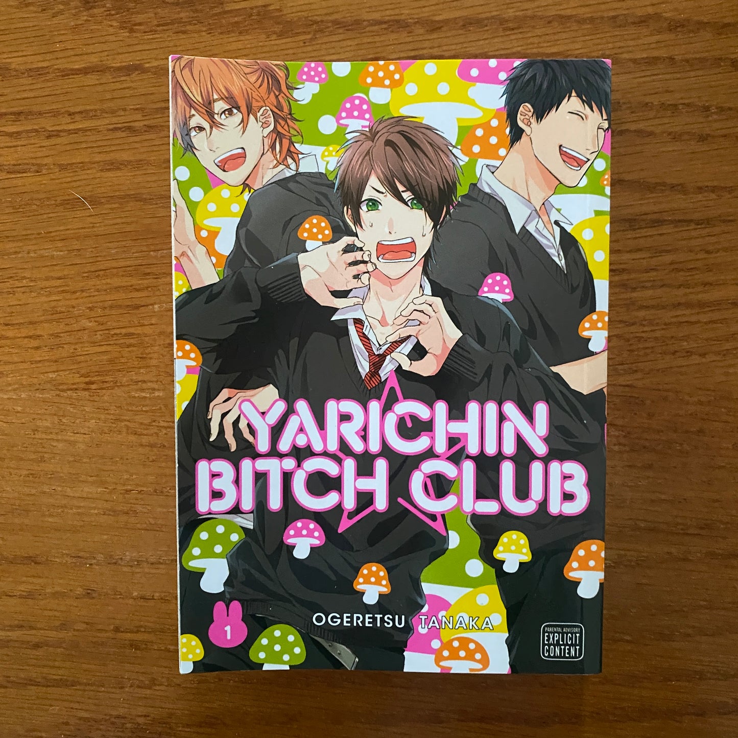 Yarichin Bitch Club 1 - Ogeretsu Tanaka