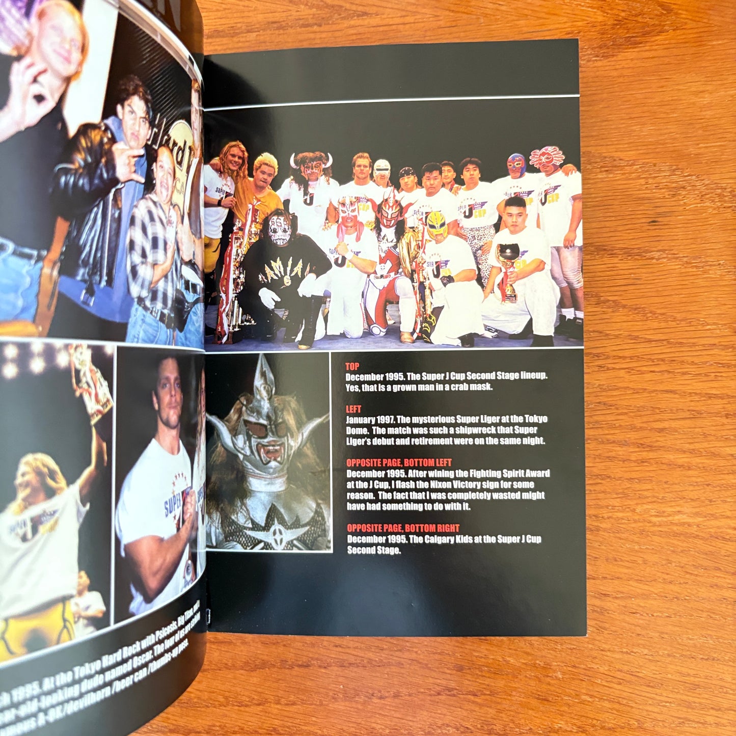 A Lion's Tale - Chris Jericho