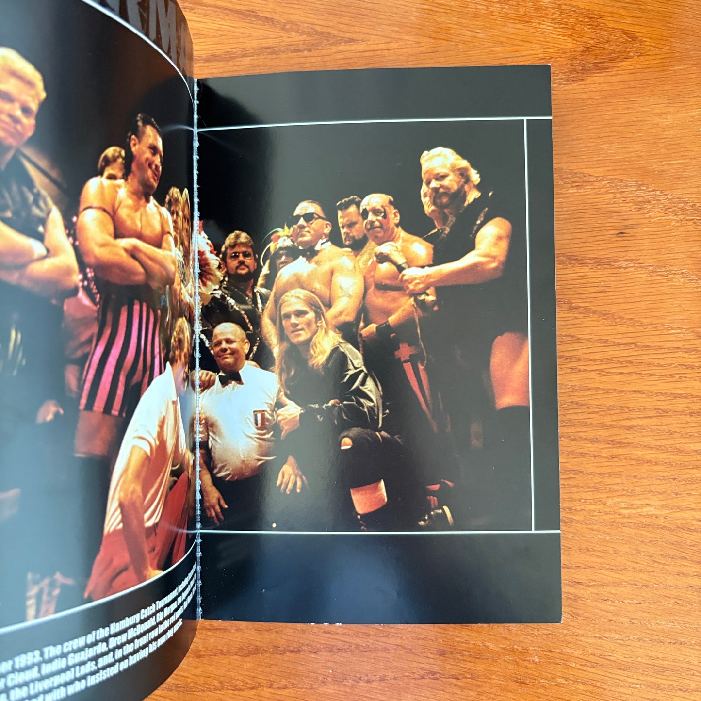 A Lion's Tale - Chris Jericho